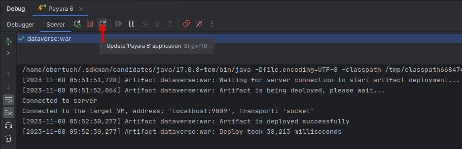 ../_images/intellij-payara-run-output.png