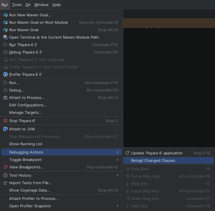 ../_images/intellij-payara-run-menu-reload.png