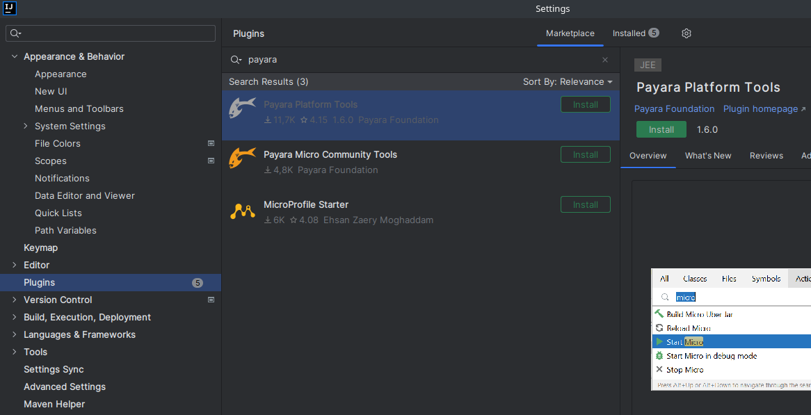 ../_images/intellij-payara-plugin-install.png